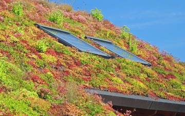 New York living roof systems