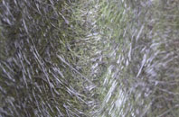 New York fibreglass roof work